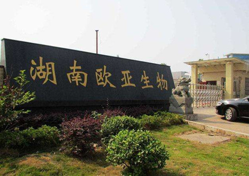 ����ŷ������