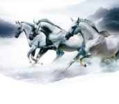 ʡ������ǰʮ����ơ�ʩ��ʵ����ǰ