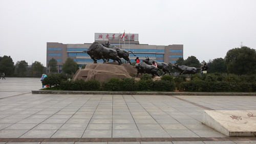 ����ũҵ��ѧ